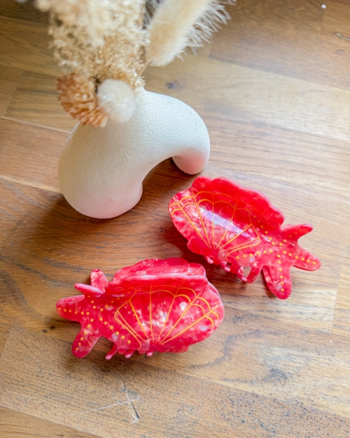 Pince coquillage